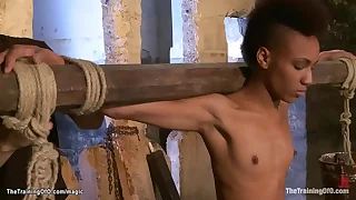 Skinny malicious trainee guestimated fucked